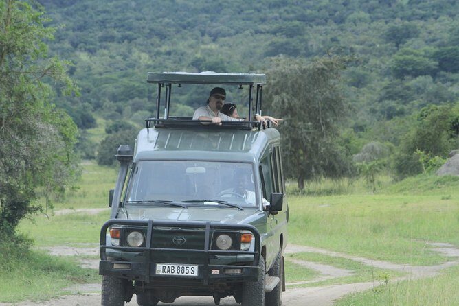 1 Day Akagera Wildlife Safaris Rwanda (2 Pax Min) - The private day structure: how the timing and transport work