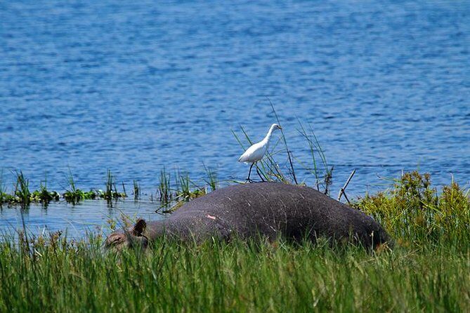 1 Day Akagera Wildlife Safaris Rwanda (2 Pax Min) - Entering Akagera: the habitat mix that drives wildlife variety
