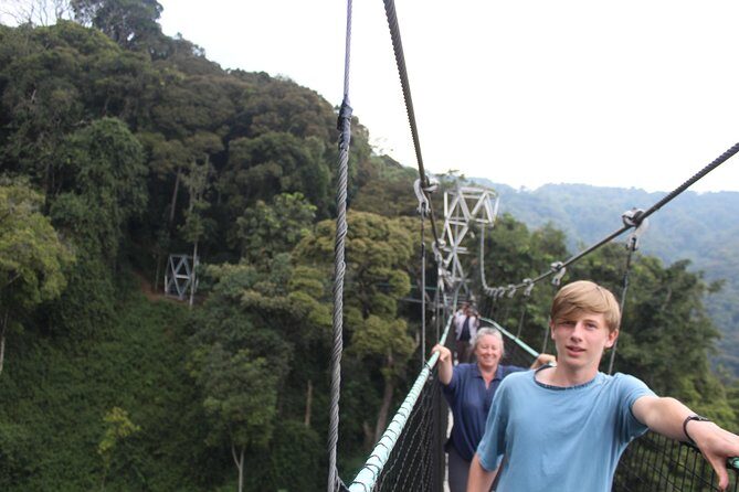 1 Day Canopy walk way in Nyungwe Natioinal park - Key highlights worth your time