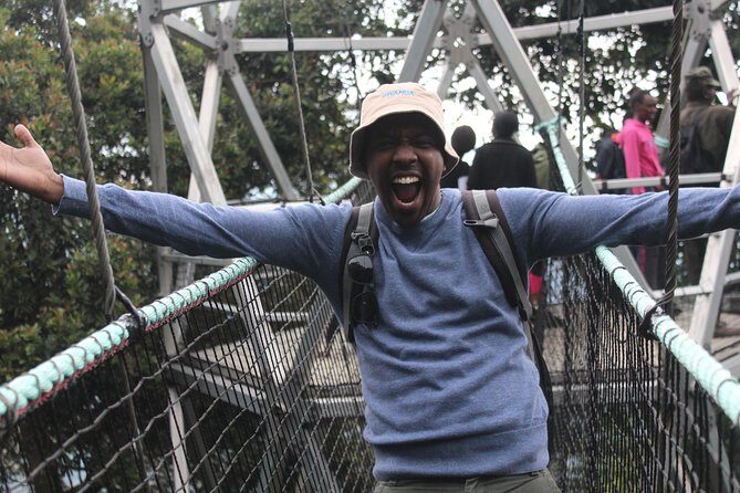 1 Day Canopy walk way in Nyungwe Natioinal park - What you’ll actually see up on the bridge