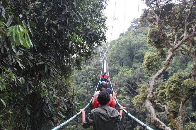 1 Day Canopy walk way in Nyungwe Natioinal park - Practical tips to make the day feel easier