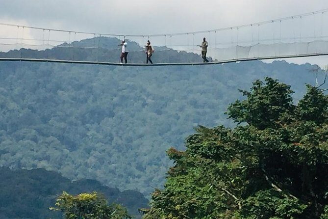 1 Day Canopy walk way in Nyungwe Natioinal park - King’s Palace and the ethnographic museum: Nyanza without the guesswork