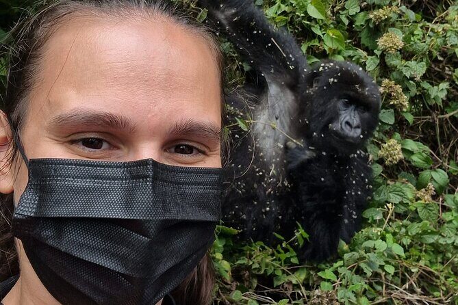 1 Day Gorilla Trekking Safari in Rwanda Volcanoes National Park - Volcanoes National Park: the kind of day you remember for years