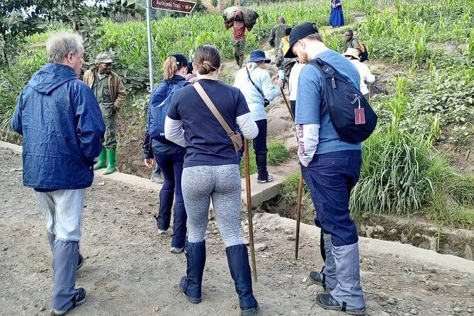 1 Day Rwanda Gorilla Trekking Tour - Key Highlights at a Glance