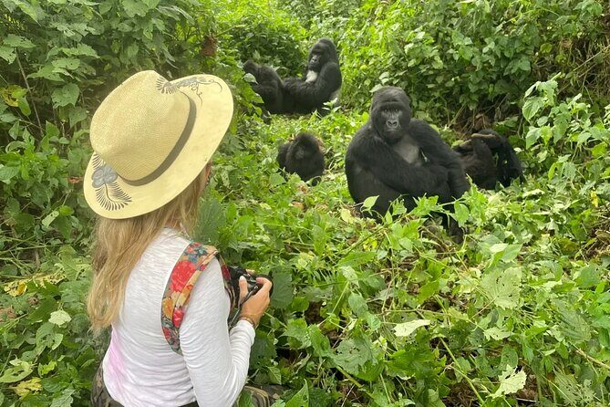 1 Day Rwanda Gorilla Trekking Tour In The Volcanoes National Park - What’s included (and what isn’t): the real cost picture