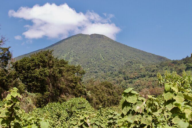 1 Day Rwanda Gorilla Trekking Tour - Kinigi Village at 8:30 am: Ranger Rules That Keep the Day Safe