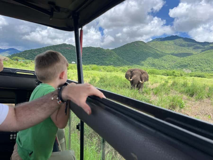 2-Day Akagera Game Drive, Boatride & Safari resort overnight - Day 2 Starts Early: Morning Game Drive for Big Five Chances