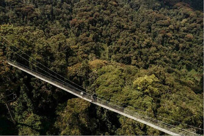2 Days Chimpanzee trekking & Canopy Walk in Nyungwe National Park - Uwinka visitor center: check-in, briefing, and getting your bearings