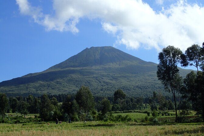 2 Days Gorilla & Golden Monkey Trekking Safaris - Night at Isange Paradise Resort: Rest That Actually Helps Gorilla Day