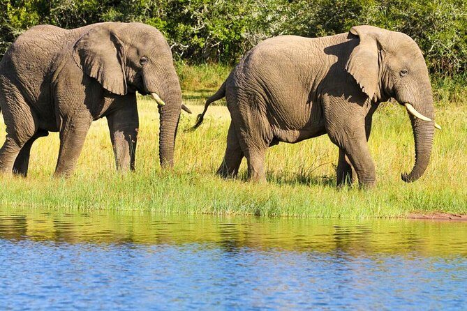 2 Days in Akagera National Park - Key things to know before you go