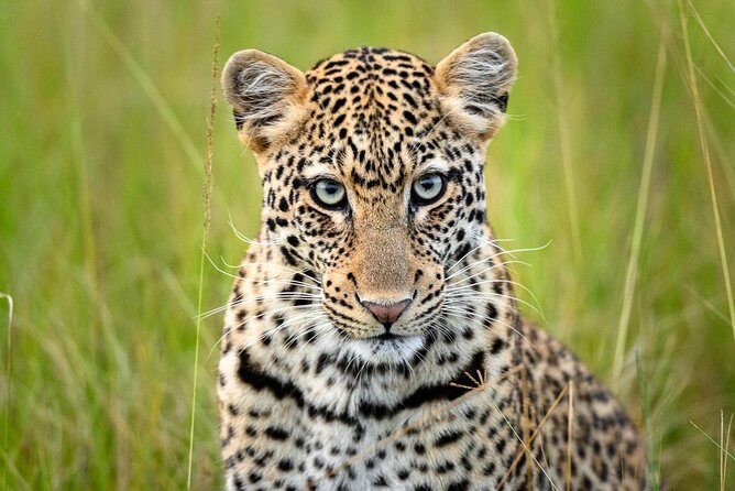 2 Days in Akagera National Park - Wildlife and birding highlights you’ll want to plan for (and how to stay flexible)
