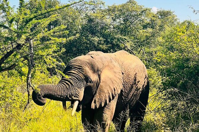 2 Days in Akagera National Park - Price and value: is $981.15 per person fair here?