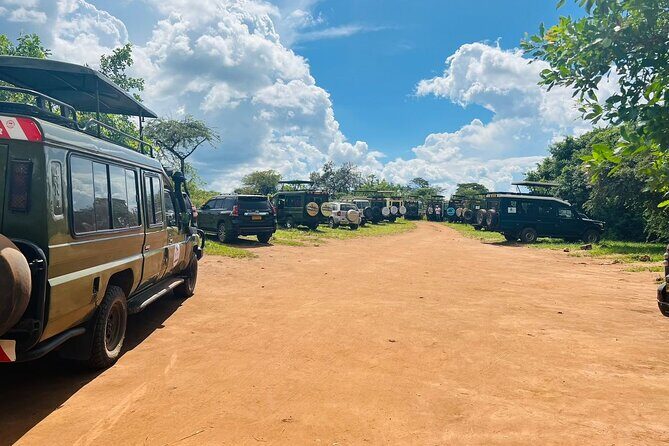 2 Days in Akagera National Park - Night game safari at 5:30pm: how to make the dark work for you