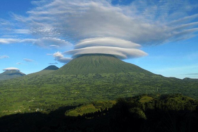 2 Days Mountain Gorilla Safari Rwanda - Day 2 Gorilla Trekking: The 7-Meter Rule and the Search for a Silverback Family