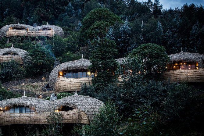 2 Days Mountain Gorilla Safari Rwanda - Who Should Book This Safari (and Who Might Rethink It)