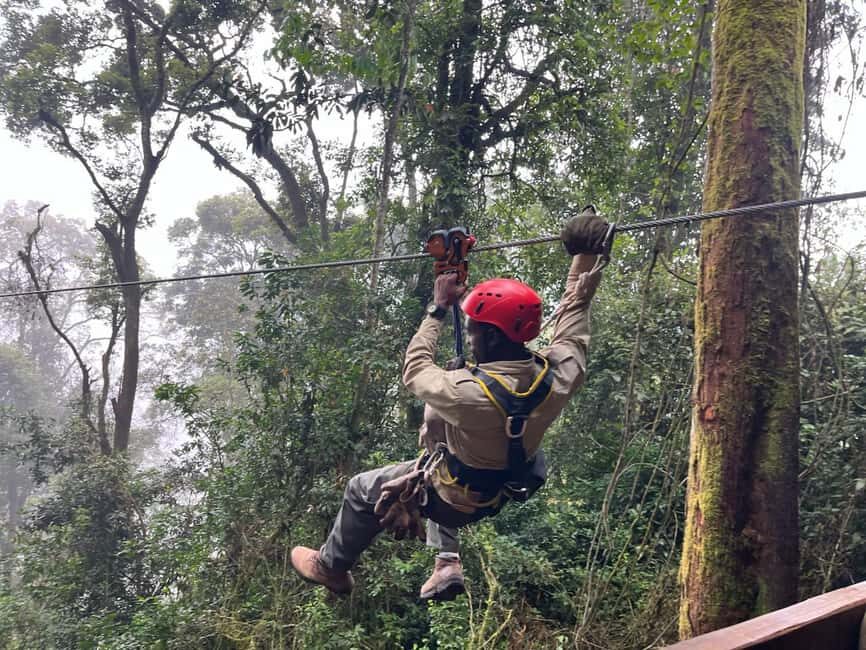 2 Days Nyungwe National Park Tours -Chimp-Canopy-Waterfall - The Guides Make the Difference (Arnaud and Enriche / Nicha)