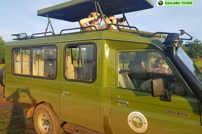 2 days trip_Akagera National Park (Wildlife Safari) - What Lunch and Coffee Time Do for Your Energy
