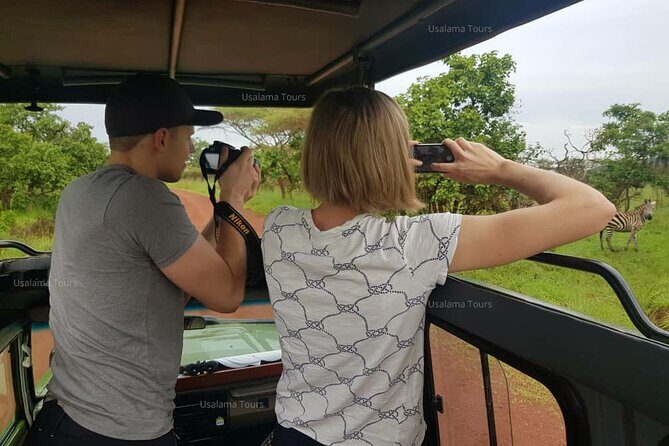 2 days trip_Akagera National Park (Wildlife Safari) - The Kigali Art Stop: Bashana, Imigongo, and Thoughtful Souvenirs