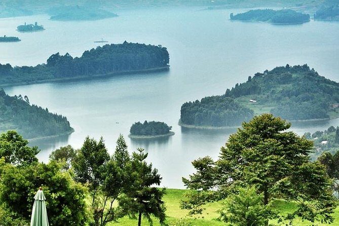 3 Day Rwanda to Uganda gorilla trekking Safari - Gorilla trekking day: briefing, steep slopes, and the one-hour rule
