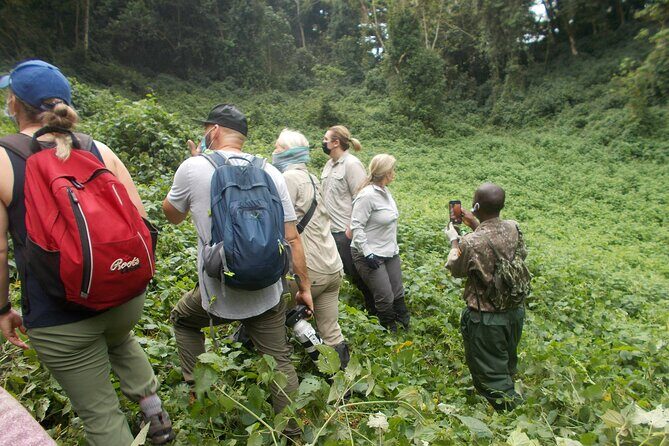 3 Day Rwanda to Uganda gorilla trekking Safari - Batwa cultural trail: learning how life works on the hills