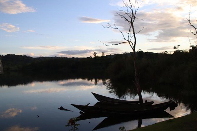 8 Day Gorilla Trek, Wildlife Safari and Chimp Habituation Experience - Day 3: Mgahinga golden monkey trekking, then Lake Bunyonyi for a proper unwind