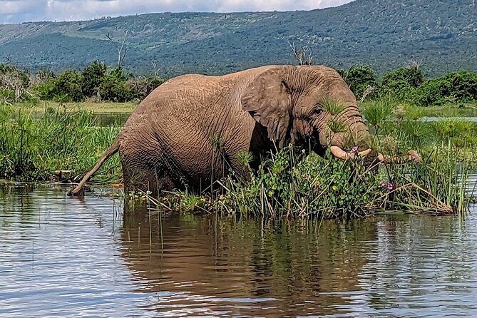 Akagera National Park Guided Day Pass - Akagera at 5:30am: How the day starts and why it matters