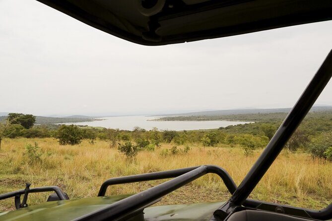 Akagera National Park Guided Day Pass - Big Five chances, plus leopard and lion moments