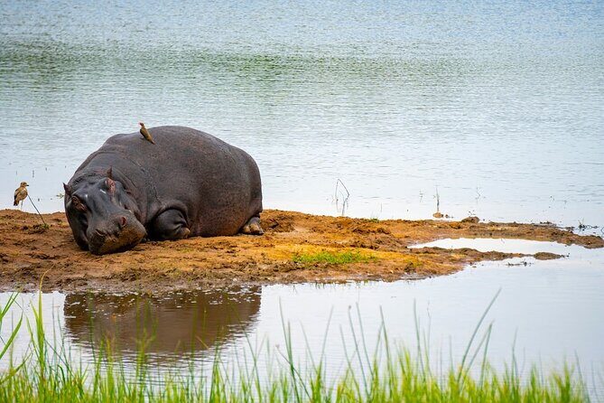 Akagera National Park Guided Day Pass - What to pack for a long 13-hour safari without lunch