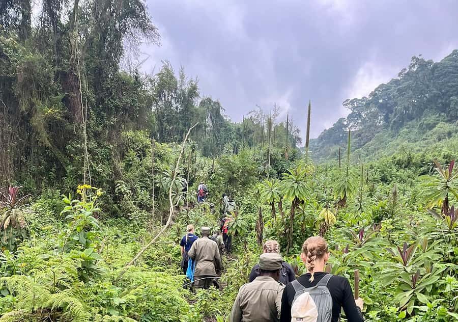 From Kigali: Bisoke Summit Trek, Crater Lake 1 Day Safari - A 4:30 AM start from Kigali: the long day rhythm