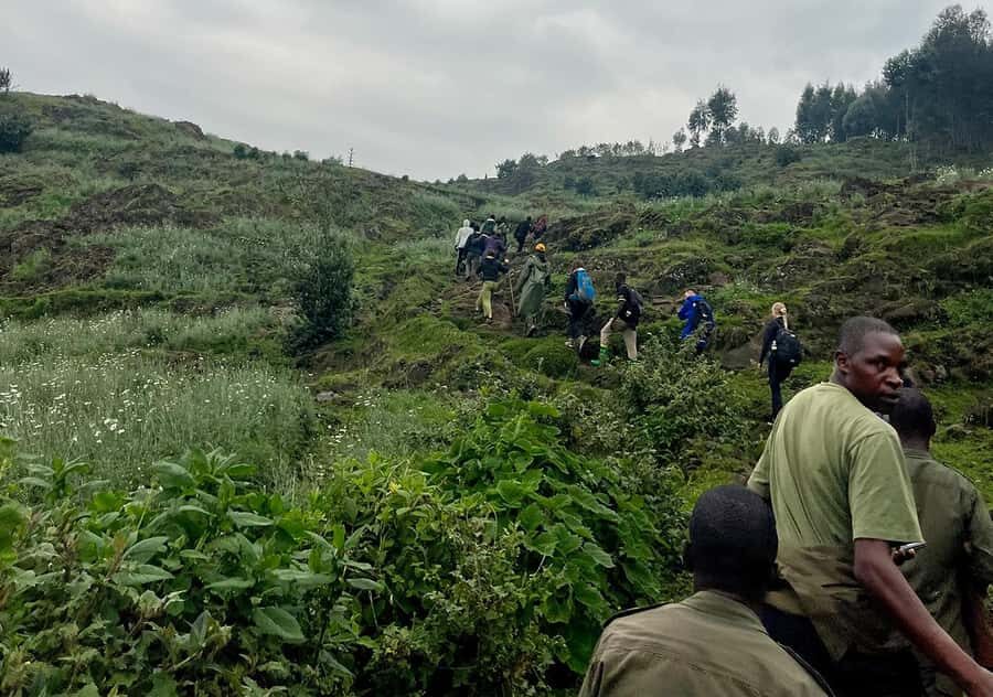 From Kigali: Bisoke Summit Trek, Crater Lake 1 Day Safari - Hiking through farmland to forest: what the trail feels like
