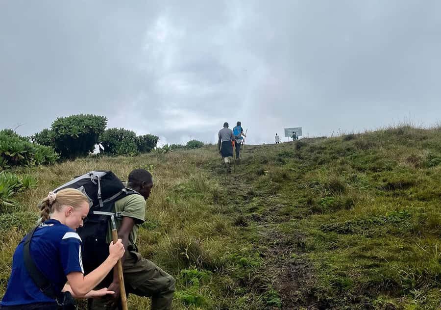 From Kigali: Bisoke Summit Trek, Crater Lake 1 Day Safari - Picnic lunch at altitude: eating like a hiker, not a tourist