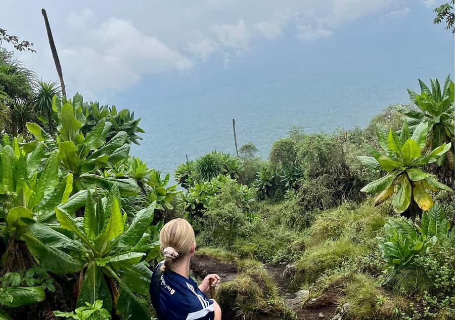 From Kigali: Bisoke Summit Trek, Crater Lake 1 Day Safari - Kinigi park headquarters and your ranger briefing