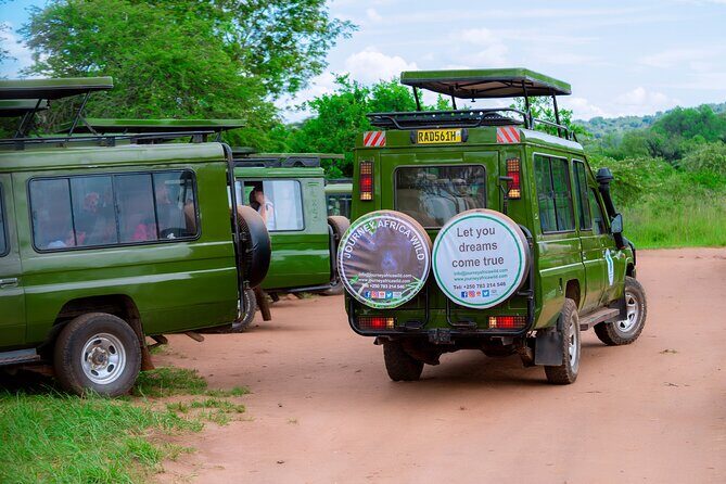 Full-Day Private Safari of Akagera National Park with Lunch - Who this safari fits best