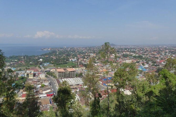 Gisenyi city tour - Home of Bats: The Wildlife Stop That Breaks Up the Day