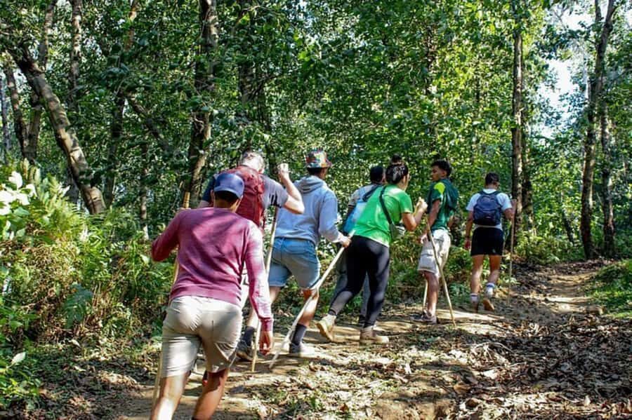 Golden Monkey Trekking with lunch - Key things I’d zero in on before you go