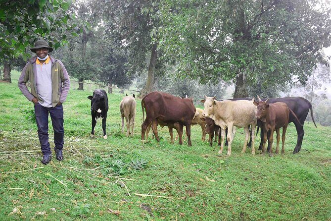 Home staying experience - Kigali to the rural village: where the day starts to feel real