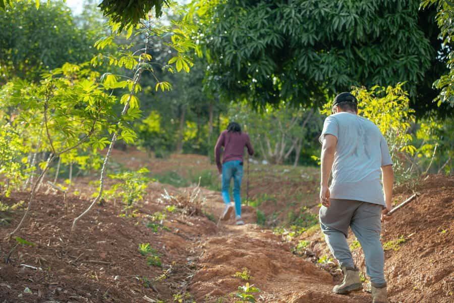 Kigali: Gatsata Village Storytelling Walk to Mount Jali - Who this Kigali walk is best for (and who should skip it)
