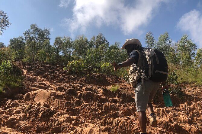 Mount Kigali Hike and Zipline Adventure Tour(Pick up &drop off) - Stop 2 by Nyabarongo: birds, plantations, and a neighborhood walk home