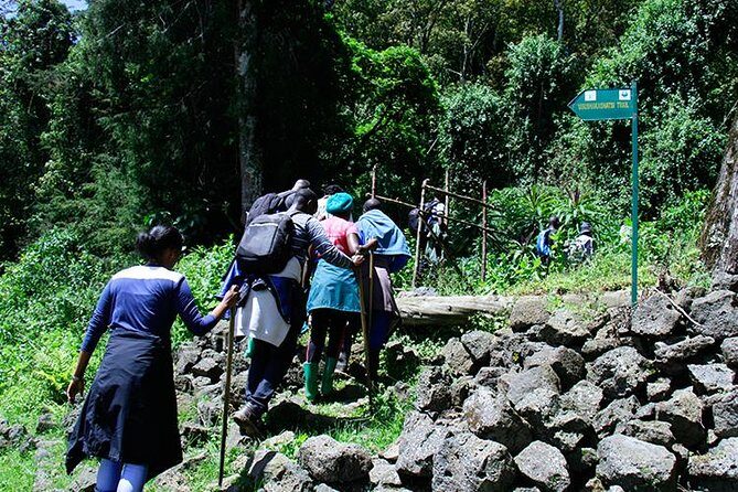 One Day Mount Bisoke Hike Adventure Tour in Volcanoes Park - Why Mount Bisoke Feels Like the Real Rwanda