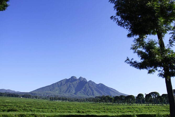 One Day Mount Bisoke Hike Adventure Tour in Volcanoes Park - Kigali Pickup to Volcanoes Park: Your Long-Day Game Plan