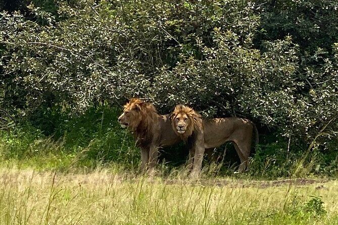 One Day Private Tour to Akagera National Park from Kigali - Key highlights to know before you go