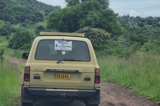 Private 1 Day Akagera Big Five Safari with pick up and lunch. - Price and value: what $440 buys you in Kigali-to-Akagera