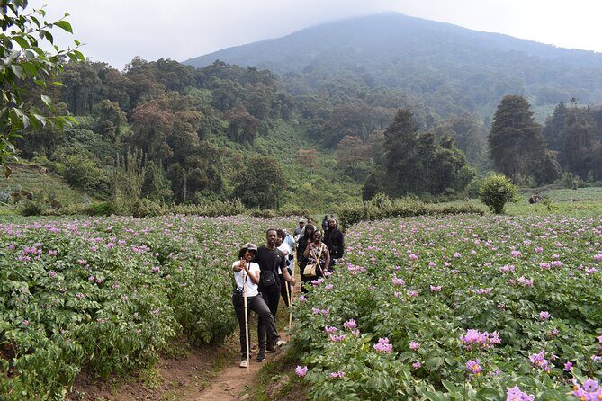 Scenic walk around volcanoes - Price and value: is $90 a fair deal for 3 hours?